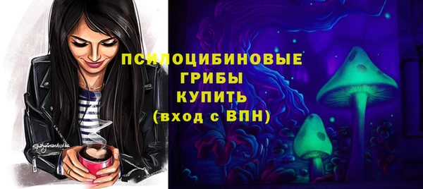 ECSTASY Козловка