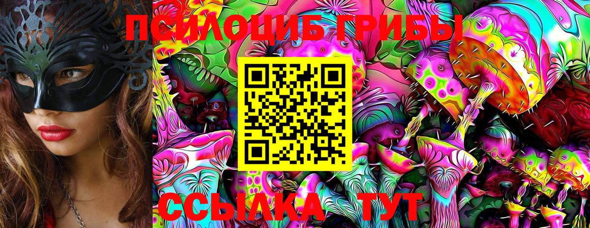Псилоцибиновые грибы GOLDEN TEACHER Волжск