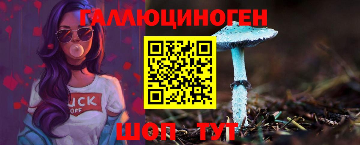 Псилоцибиновые грибы мухоморы  Галлюциногенные грибы Psilocybe  Волжск 