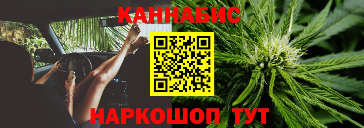 Конопля индика  МАРИХУАНА сатива  Шишки марихуана план  Волжск  МАРИХУАНА сатива 